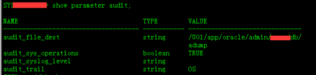 oracle-audit-trail-as-xml-on-physical-file-system-in-windows-stack