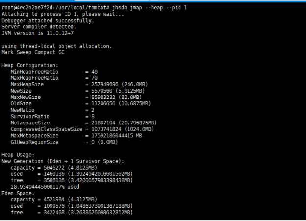 jhsdb jmap –heap –pid 1 Command Error [How to Solve]  DebugAH